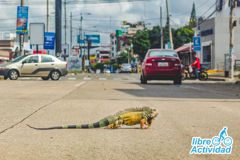 ¿Es mi impresión o Guayaquil está más&nbsp;limpia?